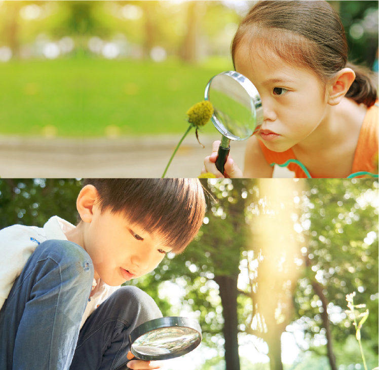 メンバー登録して研究発表に参加する