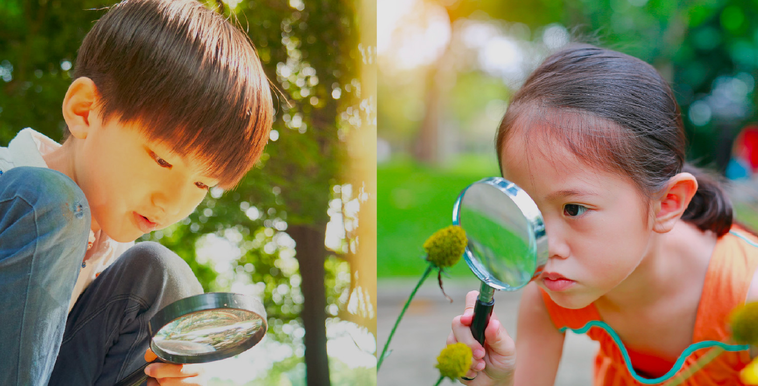 メンバー登録して研究発表に参加する